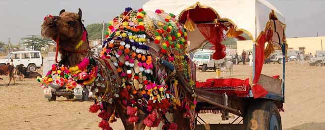 Rajasthan Tours India