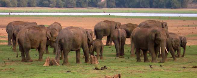 South India Travel